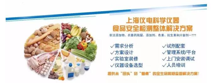 上海儀電科儀食品方案